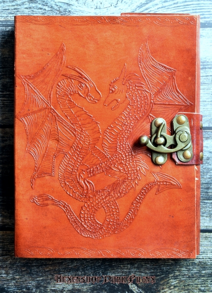 Hexenshop Dark Phönix Schattenbuch zwei Drachen